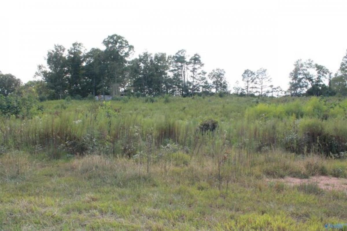 Picture of Residential Land For Sale in Falkville, Alabama, United States