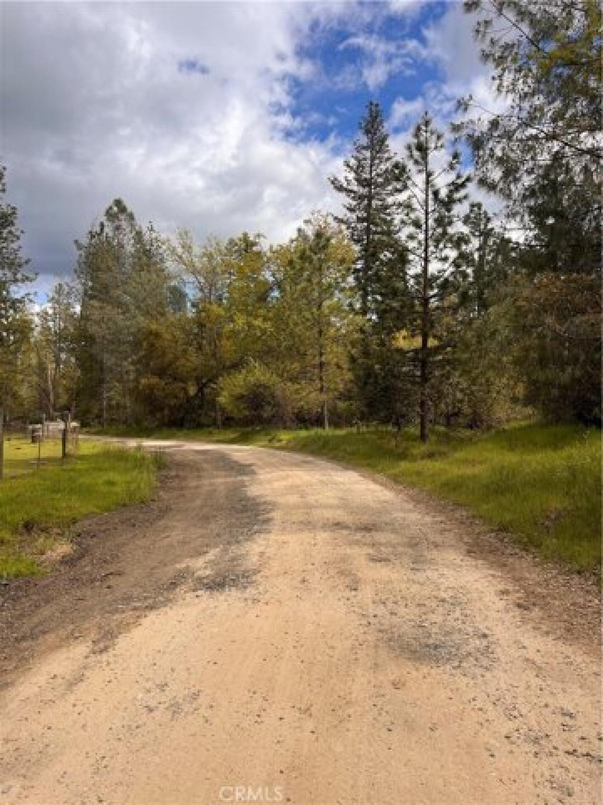 Picture of Residential Land For Sale in Mariposa, California, United States