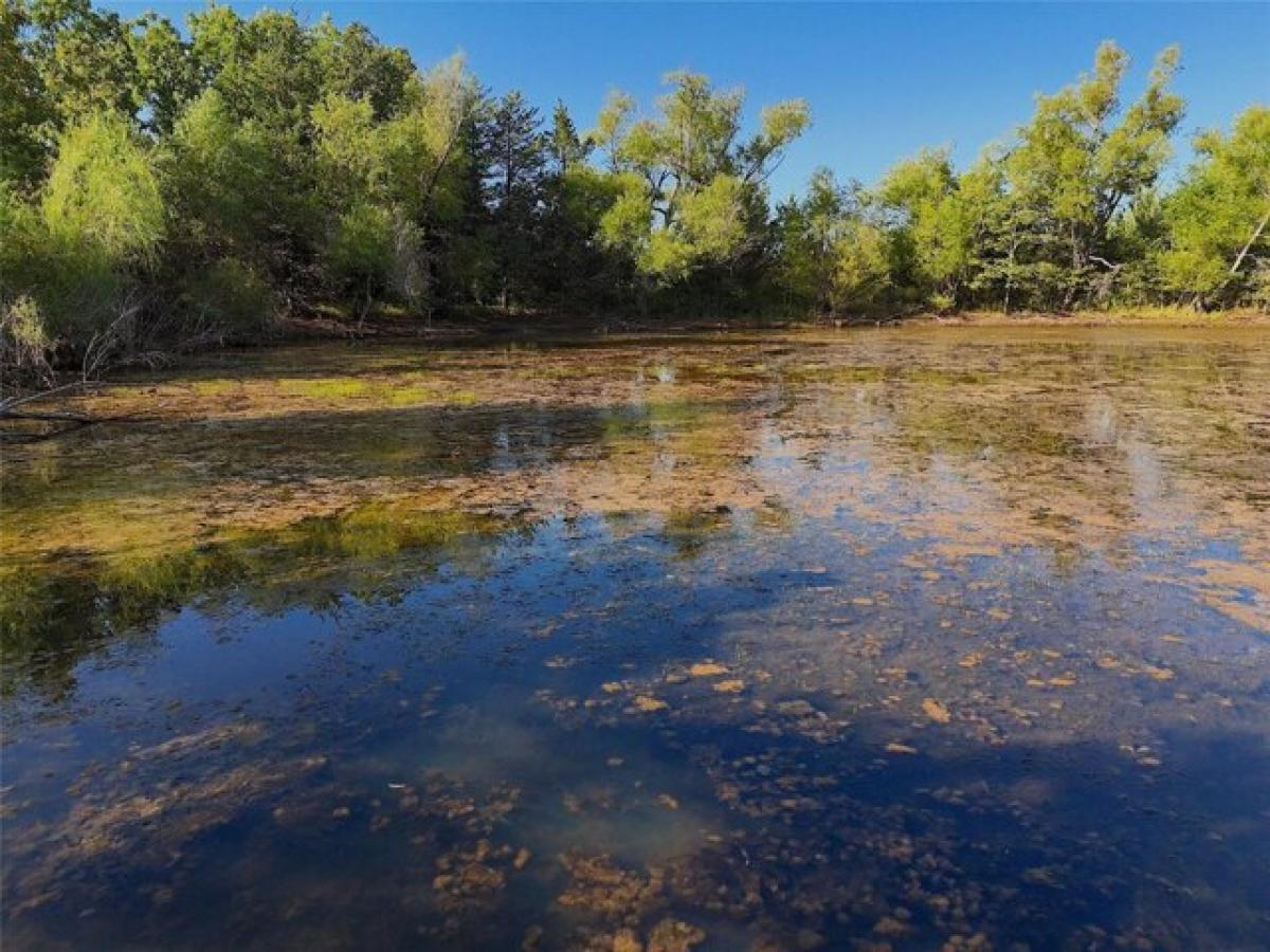 Picture of Residential Land For Sale in Honey Grove, Texas, United States