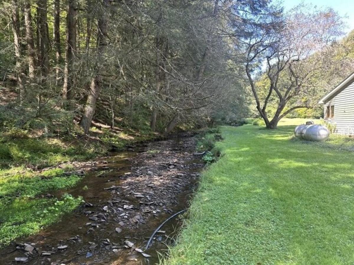 Picture of Residential Land For Sale in Austin, Pennsylvania, United States