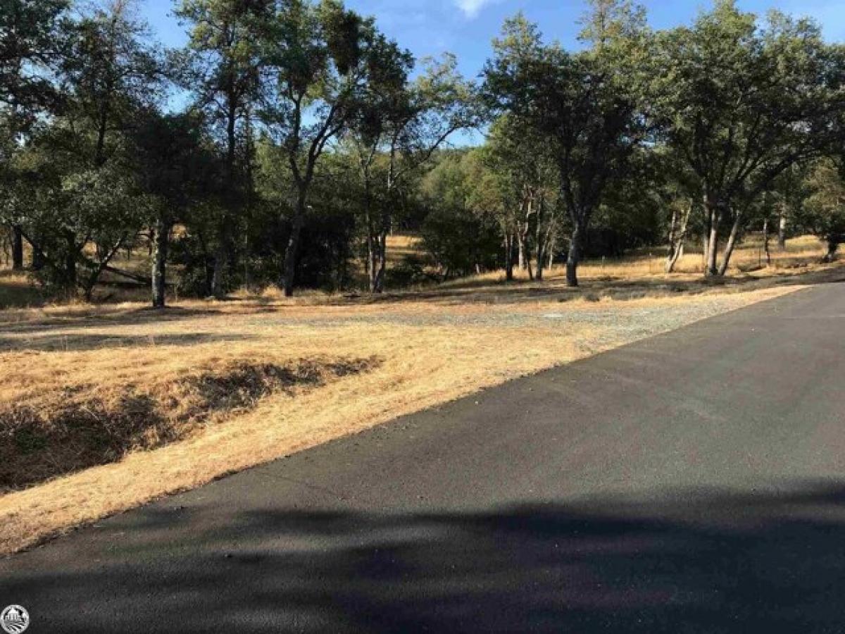 Picture of Residential Land For Sale in Sonora, California, United States