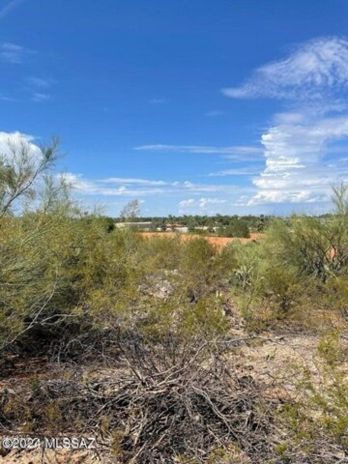 Picture of Residential Land For Sale in Tucson, Arizona, United States