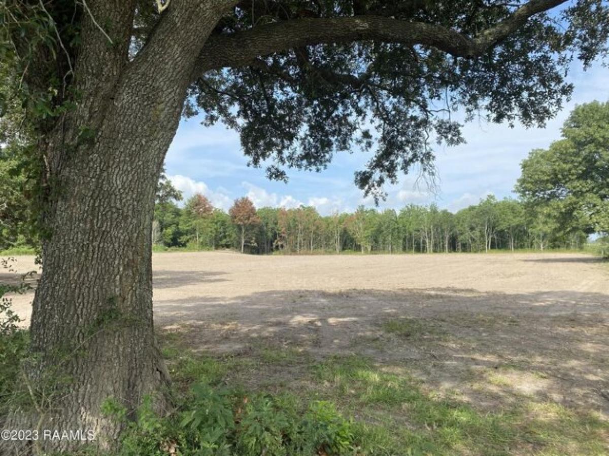 Picture of Residential Land For Sale in Crowley, Louisiana, United States