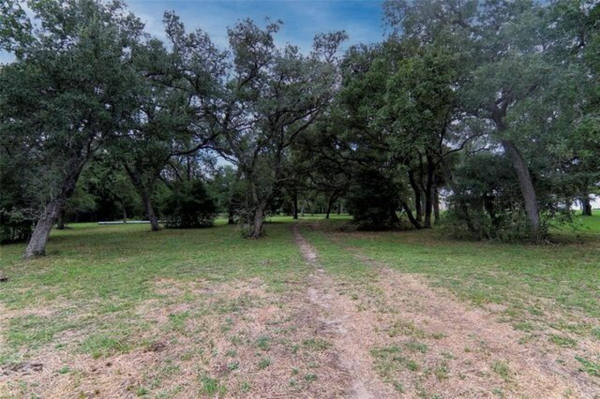 Picture of Residential Land For Sale in Schulenburg, Texas, United States