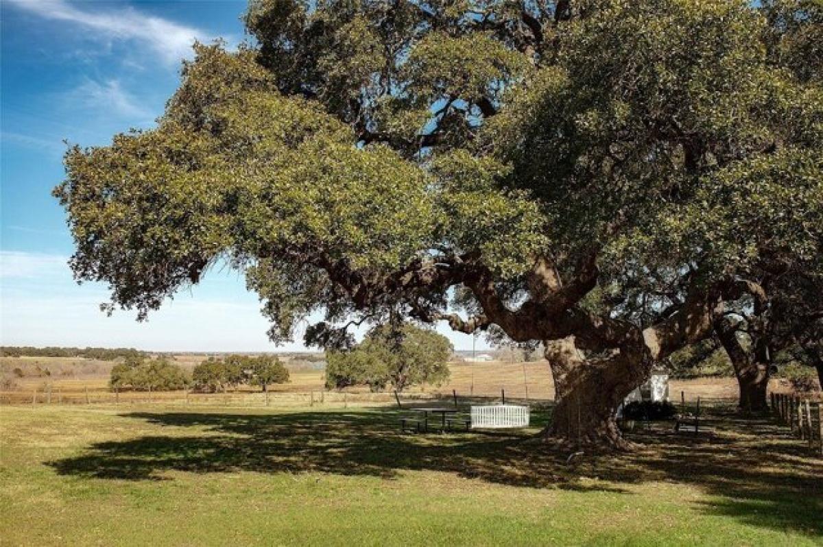 Picture of Residential Land For Sale in Round Top, Texas, United States