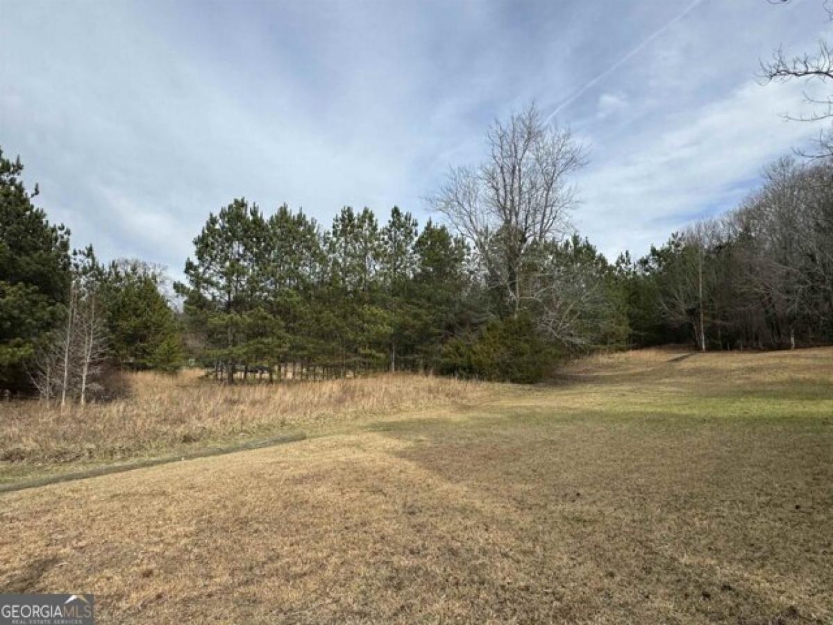 Picture of Residential Land For Sale in Cleveland, Georgia, United States