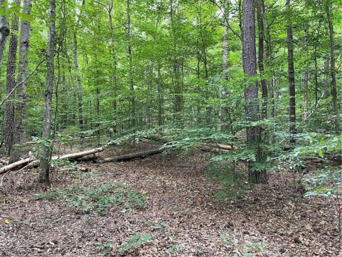 Picture of Residential Land For Sale in Lexington, North Carolina, United States