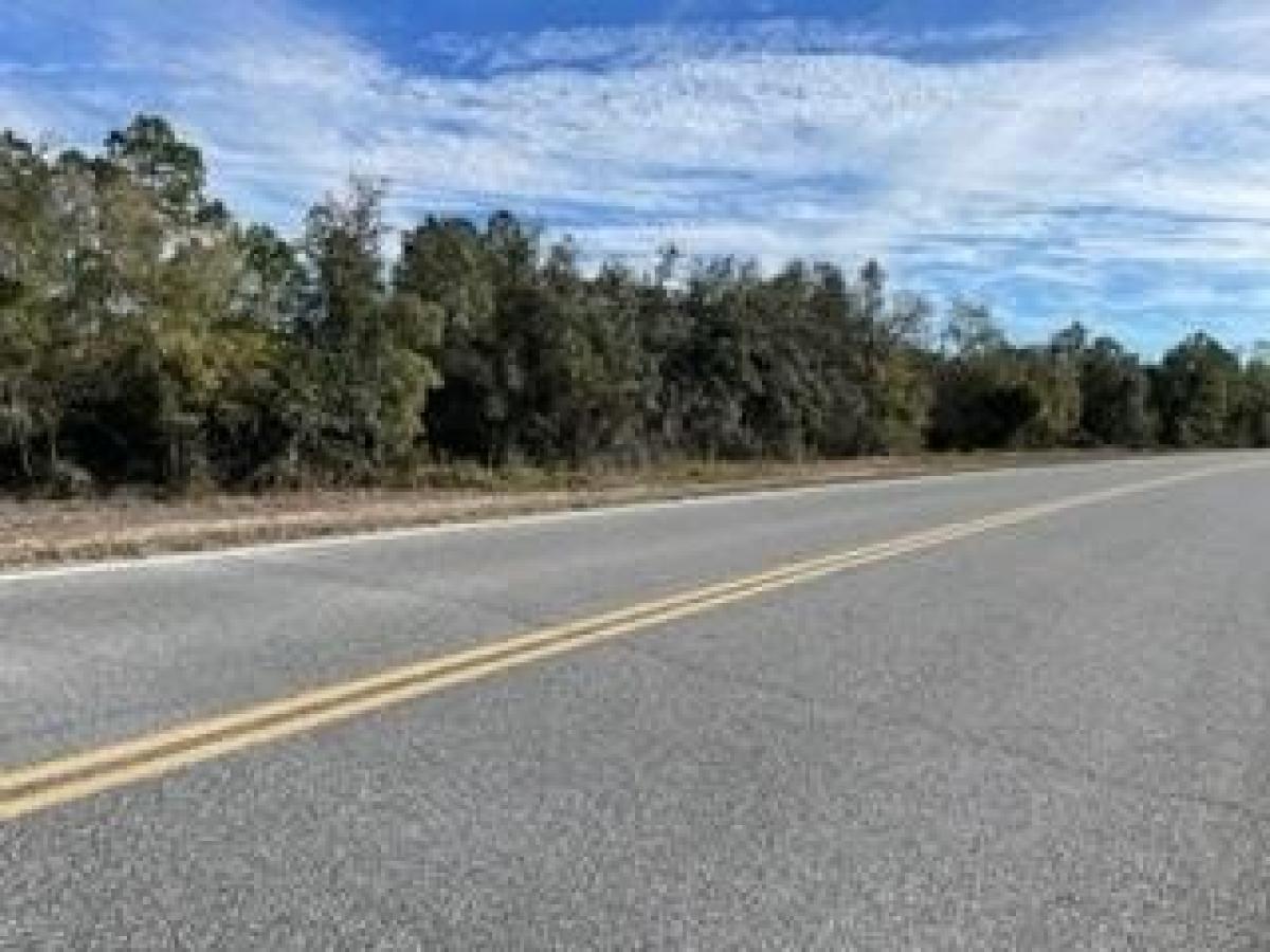 Picture of Residential Land For Sale in Perry, Florida, United States