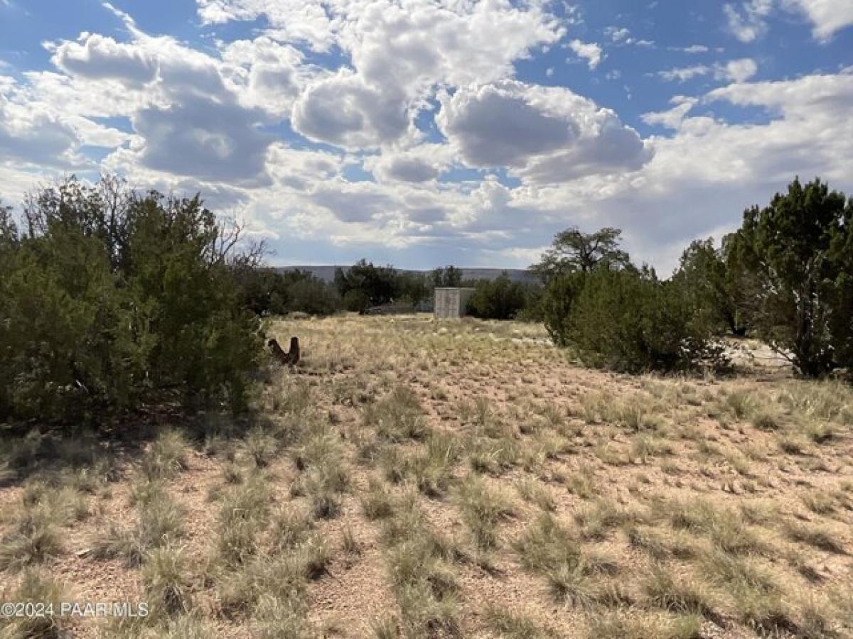 Picture of Residential Land For Sale in Seligman, Arizona, United States