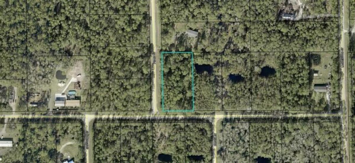 Picture of Residential Land For Sale in Bunnell, Florida, United States