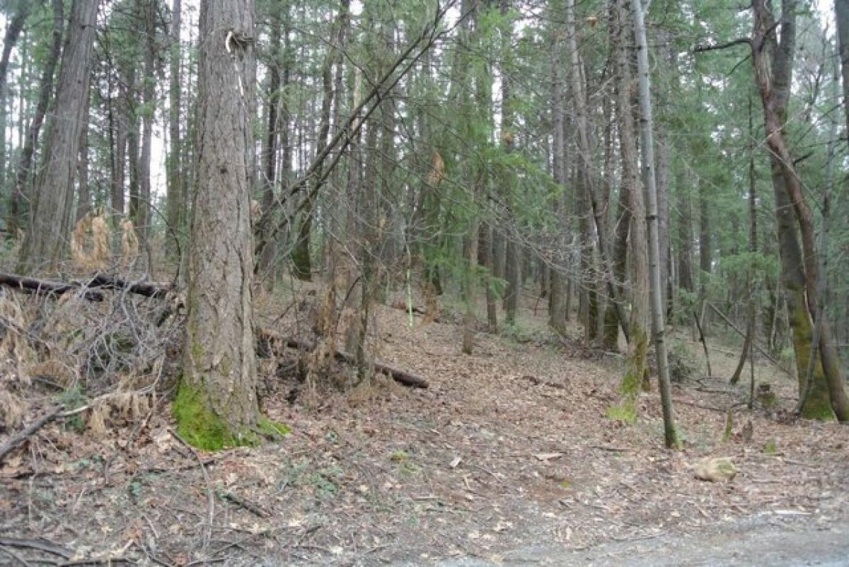 Picture of Residential Land For Sale in Foresthill, California, United States