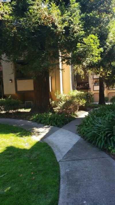 Home For Sale in Fremont, California