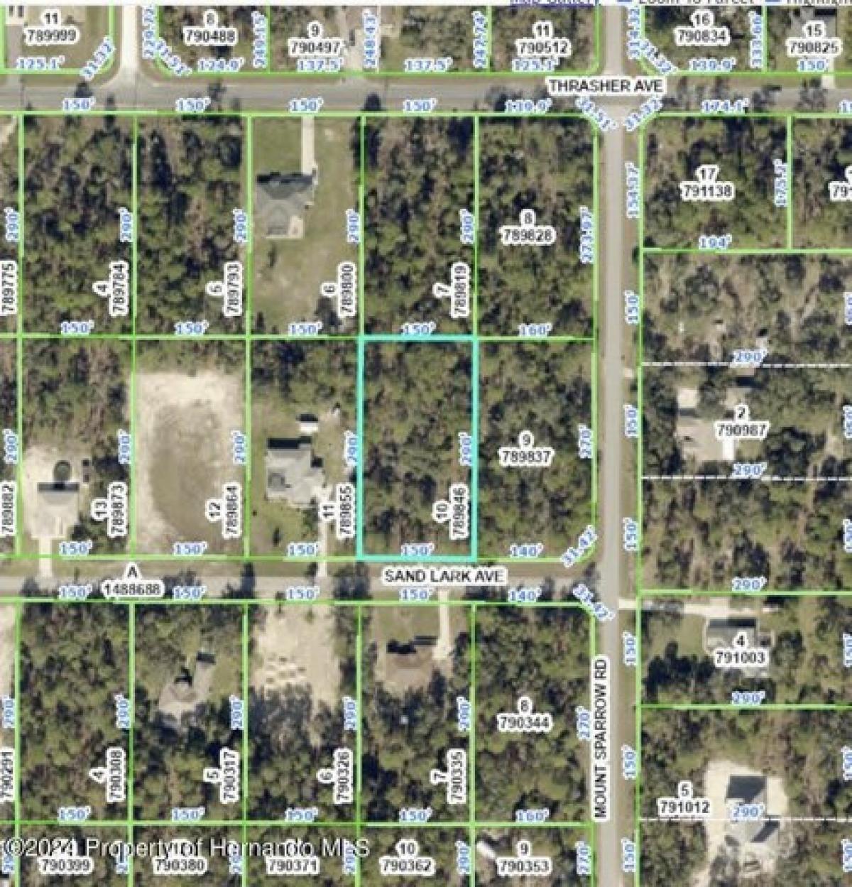 Picture of Residential Land For Sale in Weeki Wachee, Florida, United States