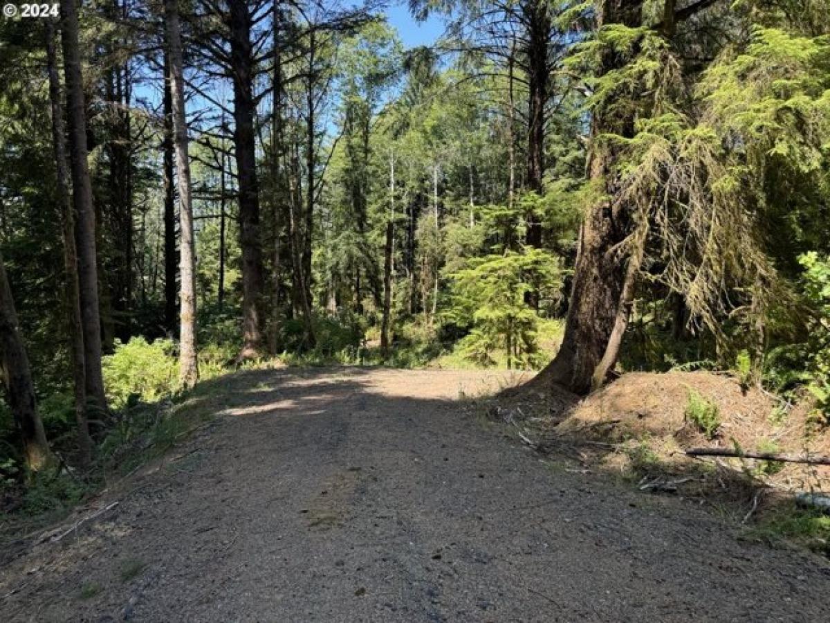 Picture of Residential Land For Sale in North Bend, Oregon, United States