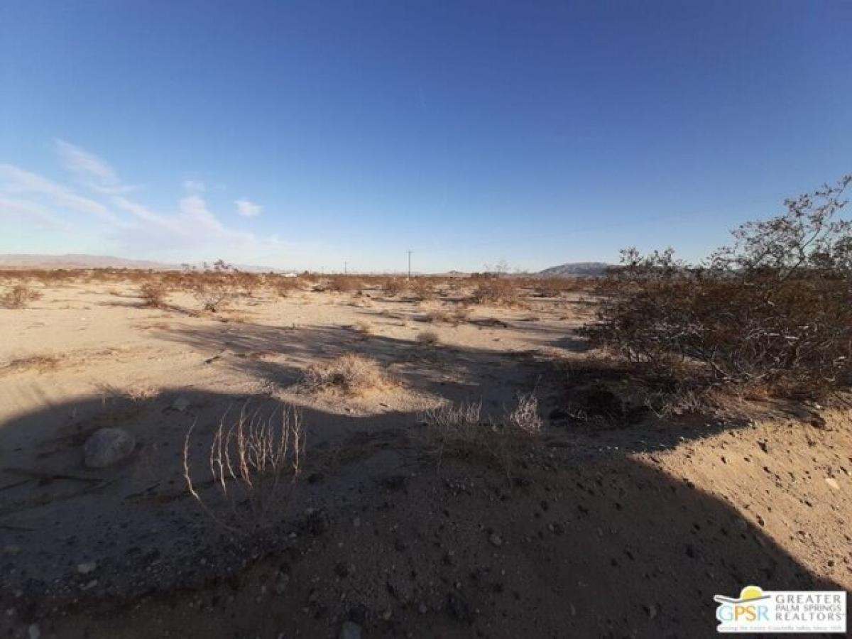 Picture of Residential Land For Sale in Twentynine Palms, California, United States