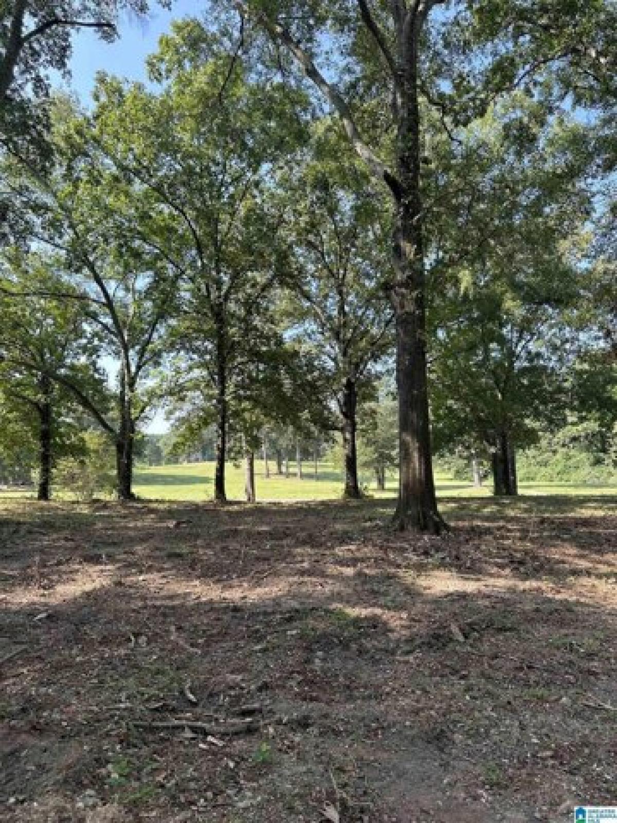 Picture of Residential Land For Sale in Pell City, Alabama, United States