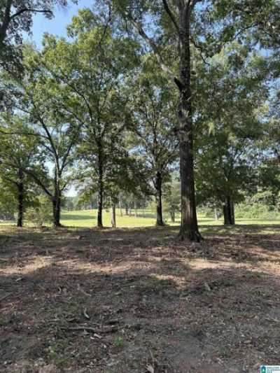 Residential Land For Sale in Pell City, Alabama