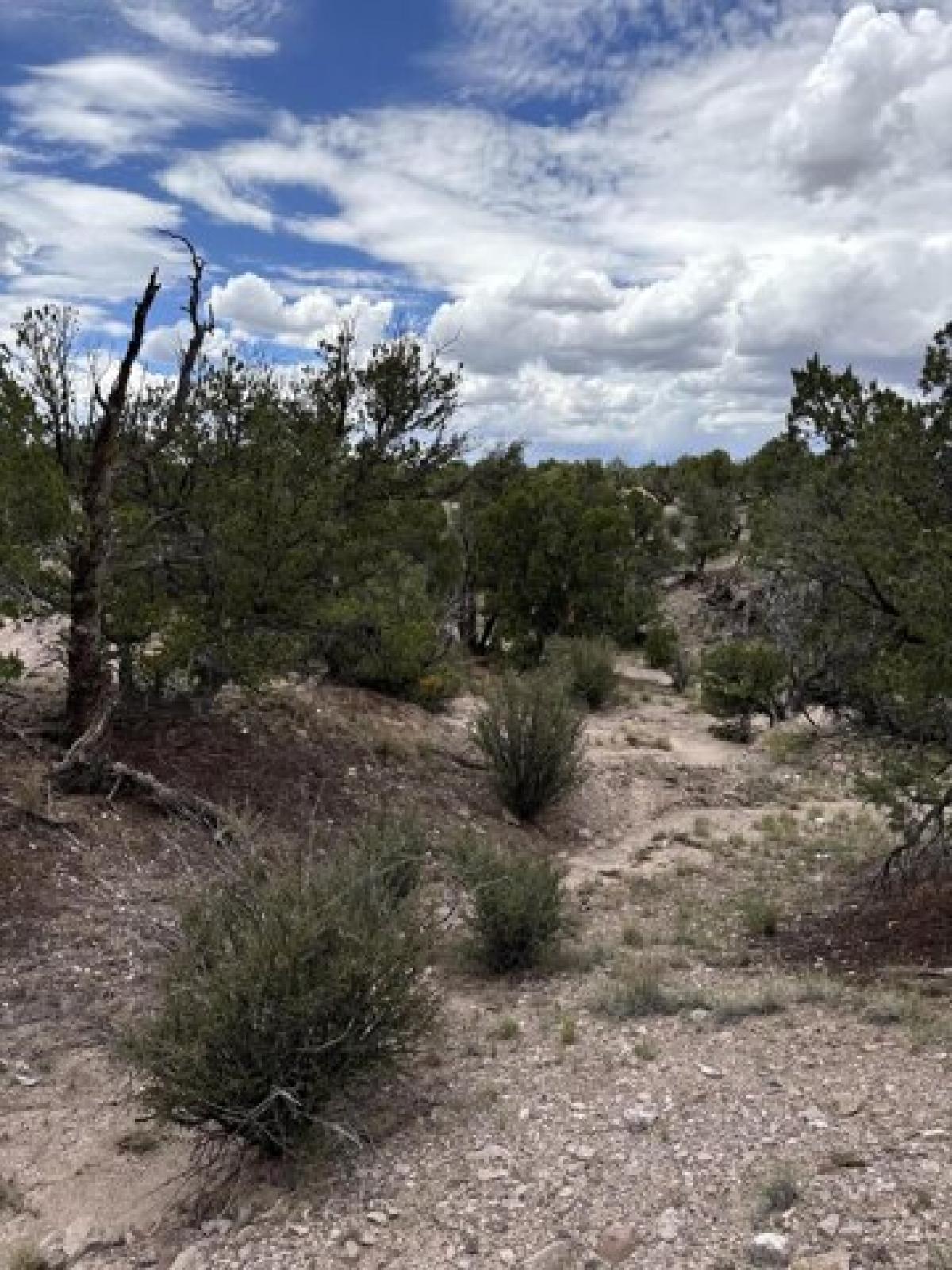 Picture of Residential Land For Sale in Magdalena, New Mexico, United States