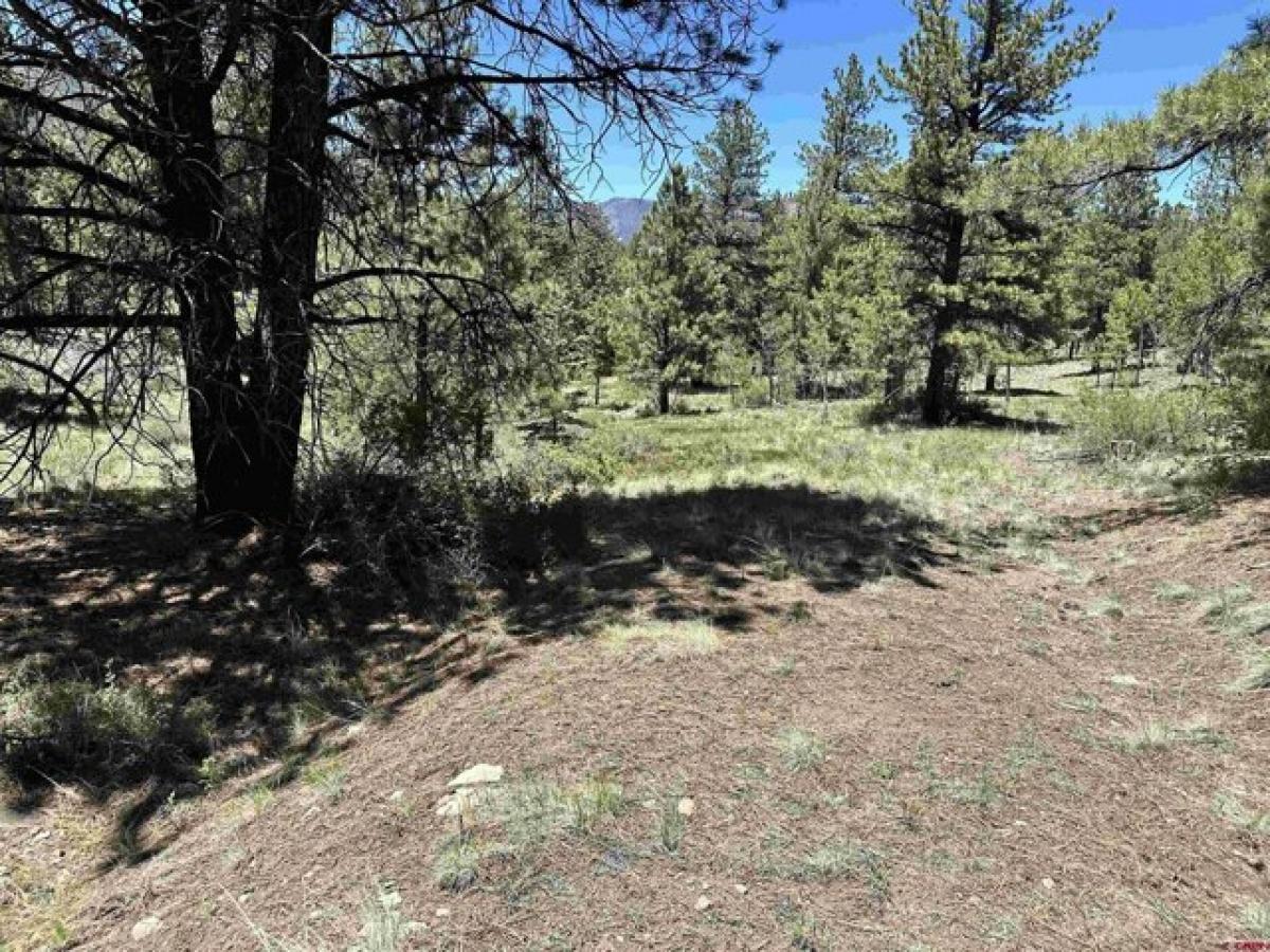 Picture of Residential Land For Sale in South Fork, Colorado, United States