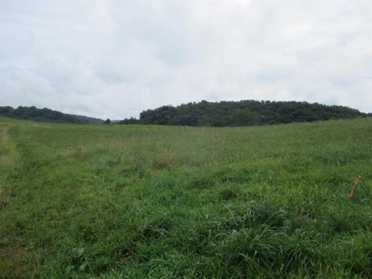 Picture of Residential Land For Sale in Buckhannon, West Virginia, United States