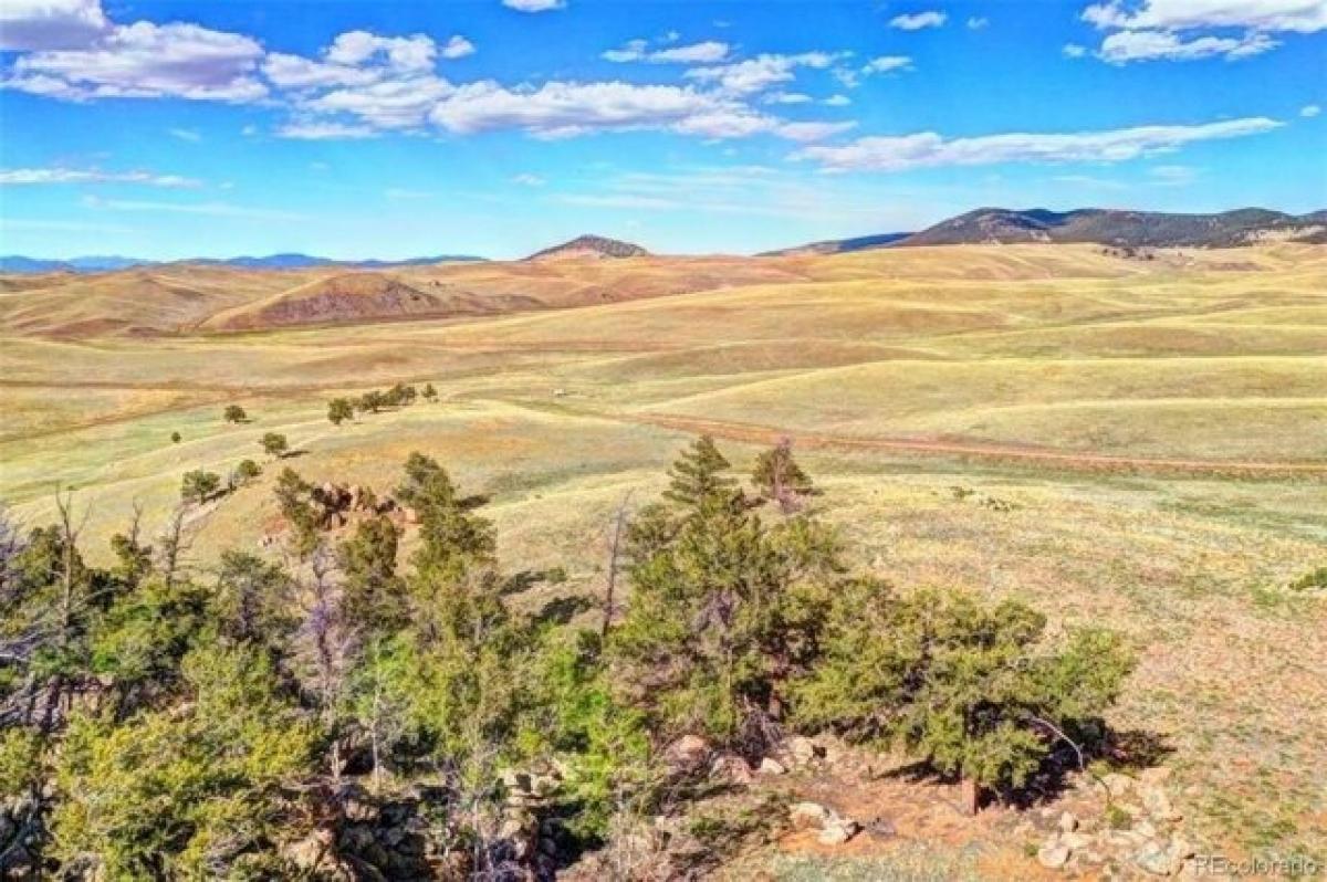 Picture of Residential Land For Sale in Hartsel, Colorado, United States