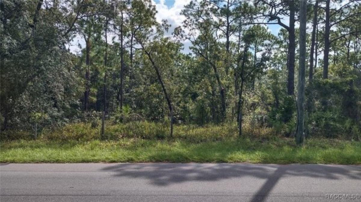 Picture of Residential Land For Sale in Homosassa, Florida, United States