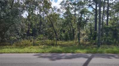 Residential Land For Sale in Homosassa, Florida