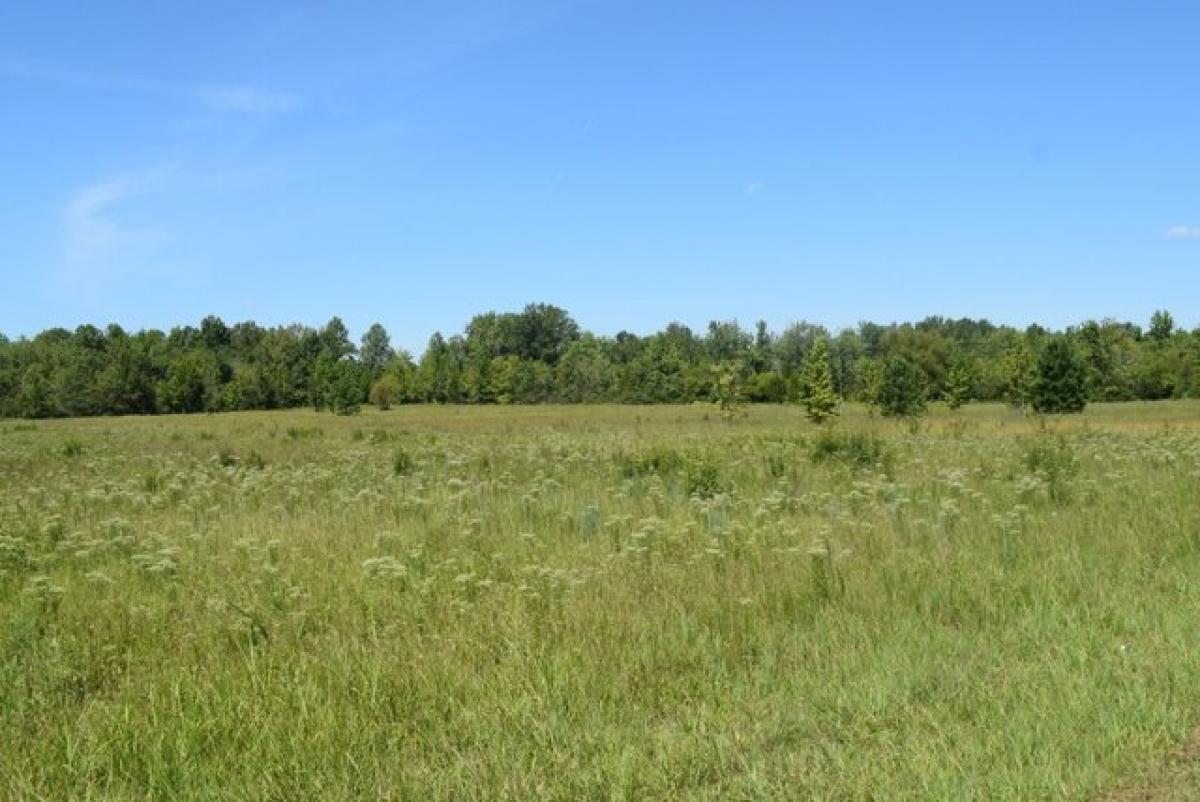 Picture of Residential Land For Sale in Morrison, Tennessee, United States