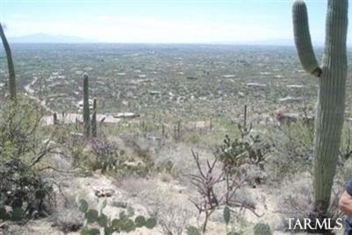 Picture of Residential Land For Sale in Tucson, Arizona, United States