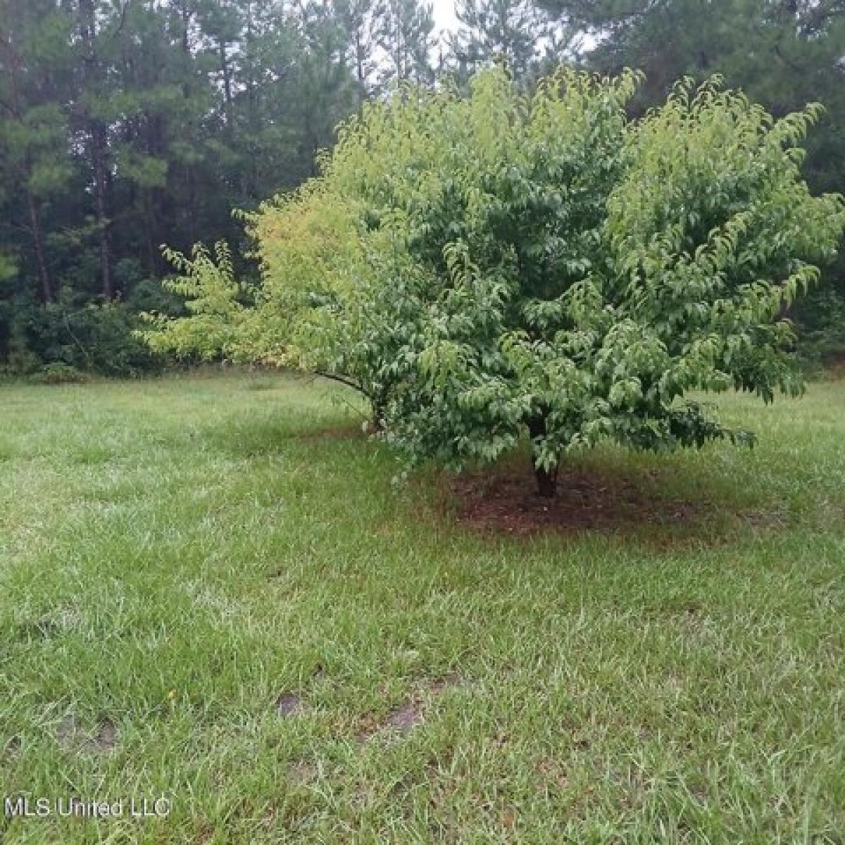 Picture of Home For Sale in Perkinston, Mississippi, United States