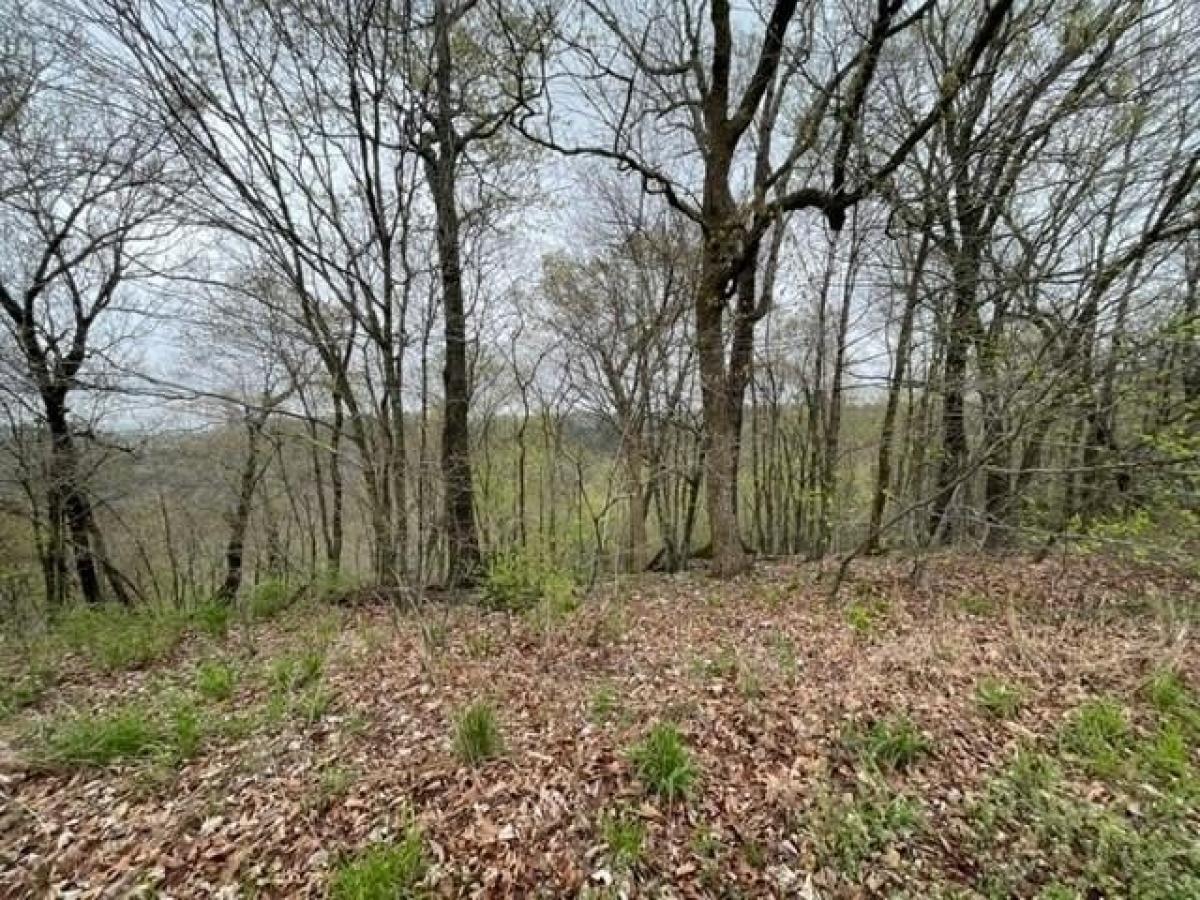 Picture of Residential Land For Rent in Holiday Island, Arkansas, United States