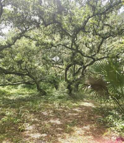 Residential Land For Sale in 