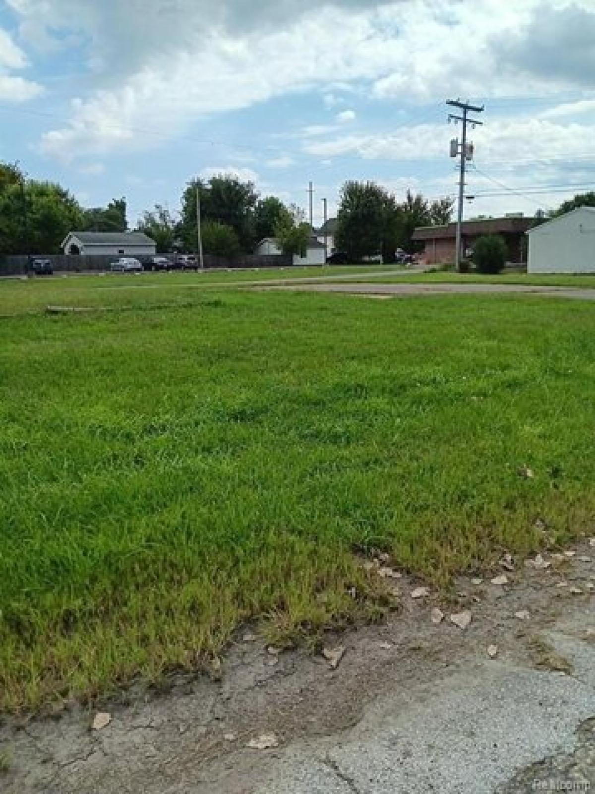 Picture of Residential Land For Sale in Fowlerville, Michigan, United States