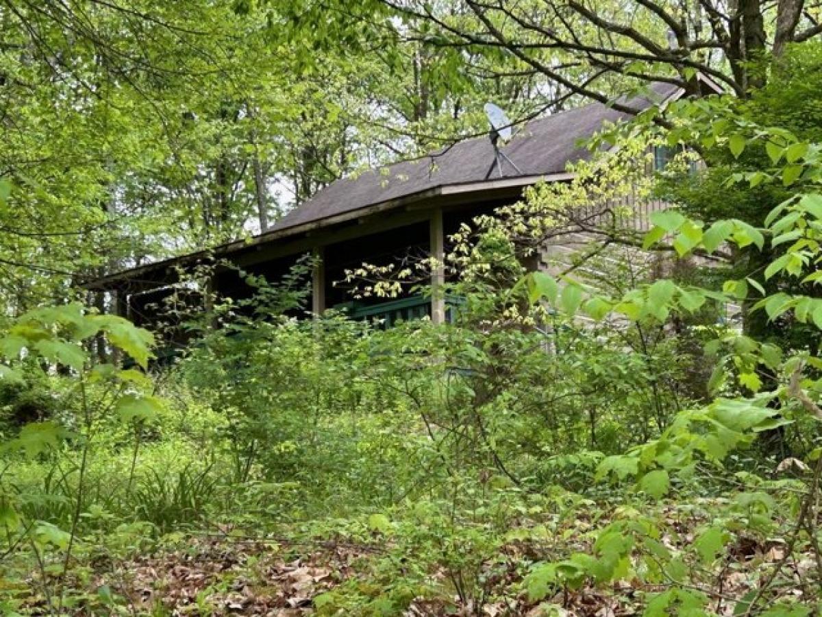 Picture of Home For Sale in Bruceton Mills, West Virginia, United States