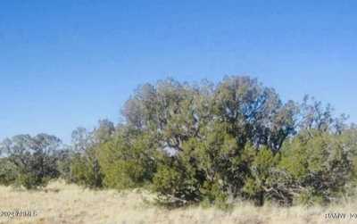 Residential Land For Sale in Heber, Arizona