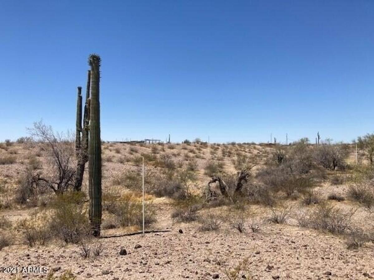 Picture of Residential Land For Sale in Tonopah, Arizona, United States