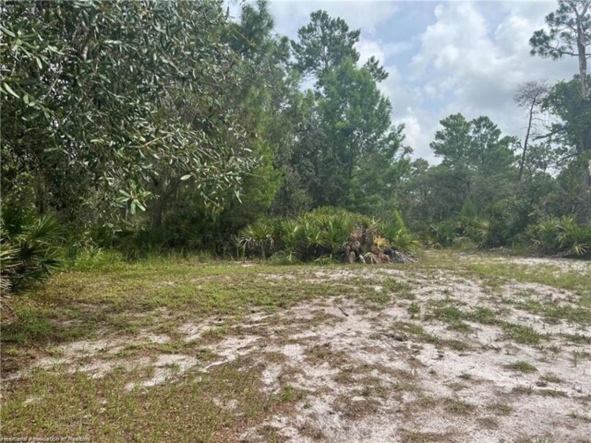 Picture of Residential Land For Sale in Lake Placid, Florida, United States