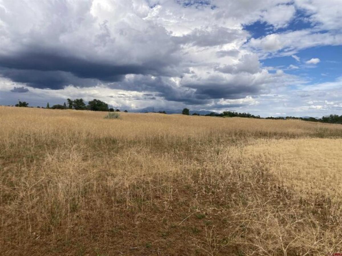 Picture of Residential Land For Sale in Dolores, Colorado, United States