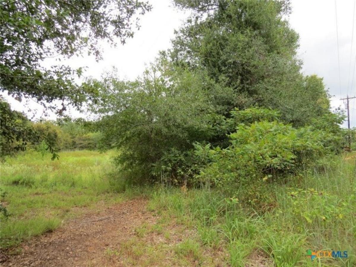 Picture of Residential Land For Sale in Gause, Texas, United States