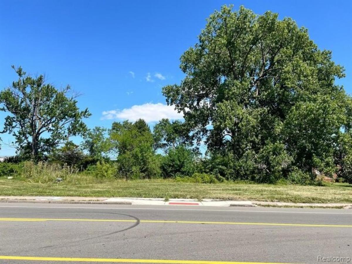 Picture of Residential Land For Sale in Detroit, Michigan, United States