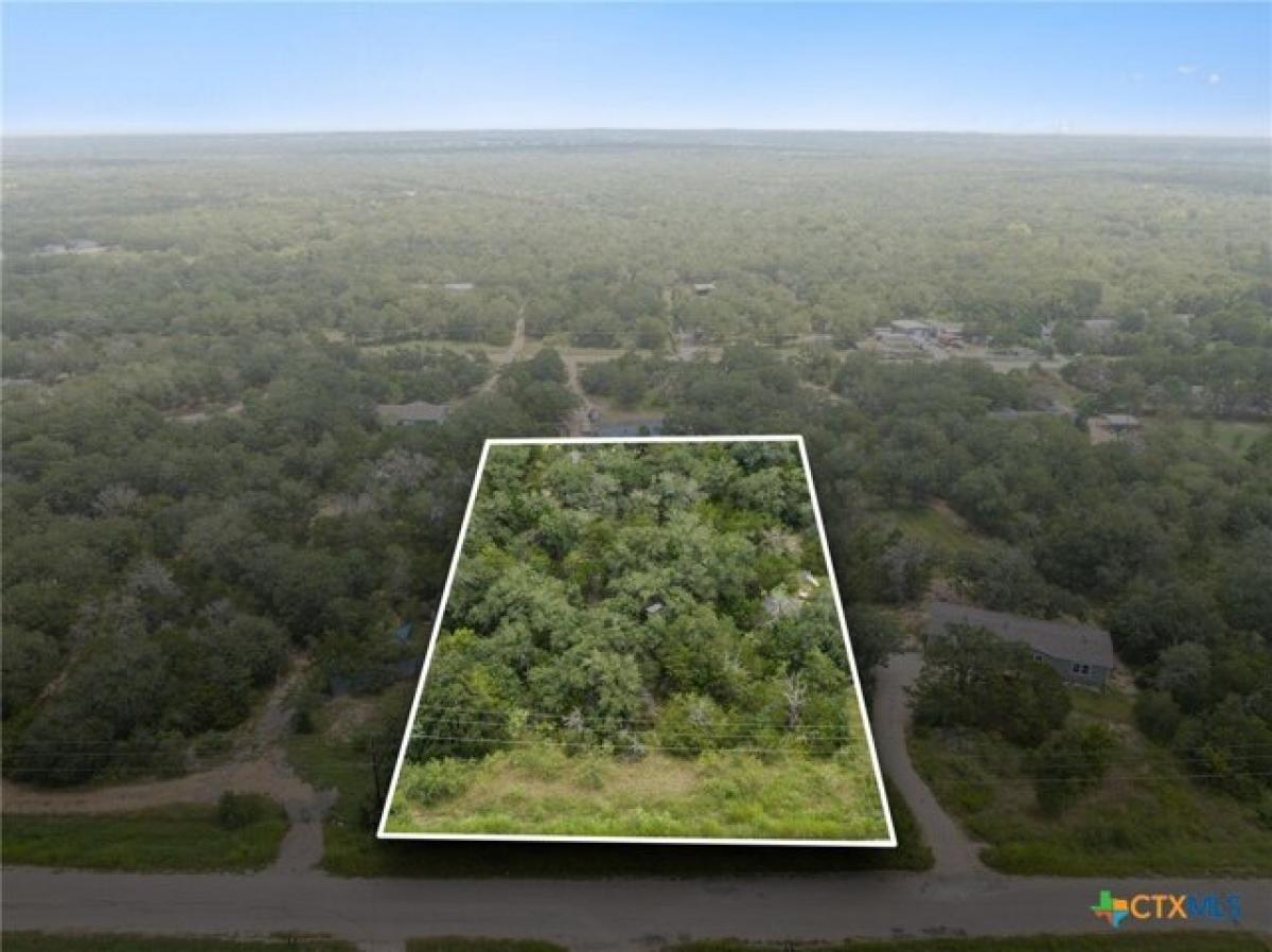 Picture of Residential Land For Sale in Cedar Creek, Texas, United States