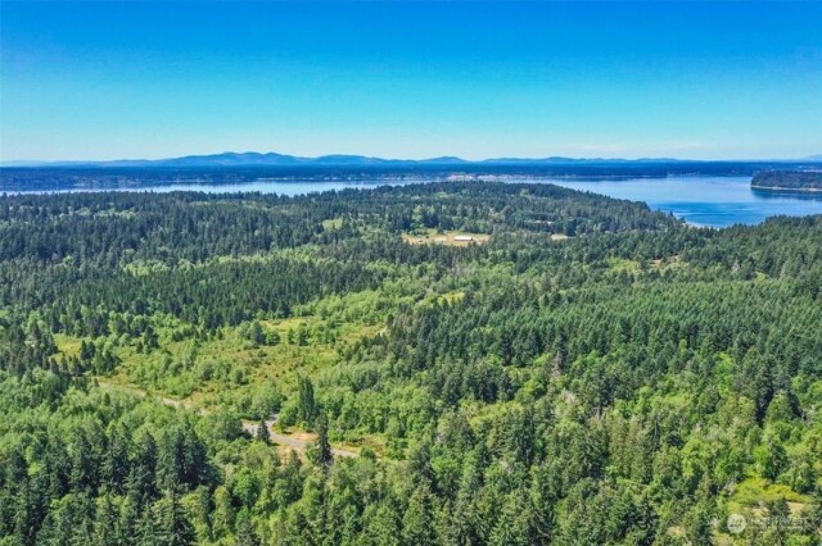 Picture of Residential Land For Sale in Anderson Island, Washington, United States