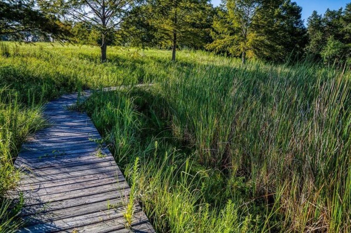 Picture of Residential Land For Sale in Burton, Texas, United States