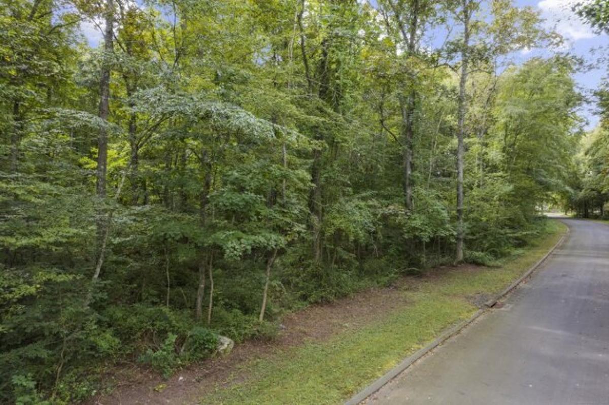 Picture of Residential Land For Sale in Killingworth, Connecticut, United States