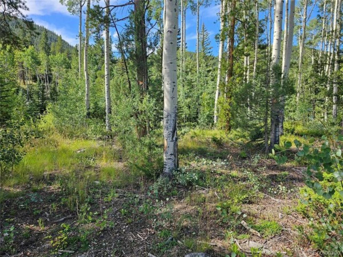 Picture of Residential Land For Sale in Salida, Colorado, United States