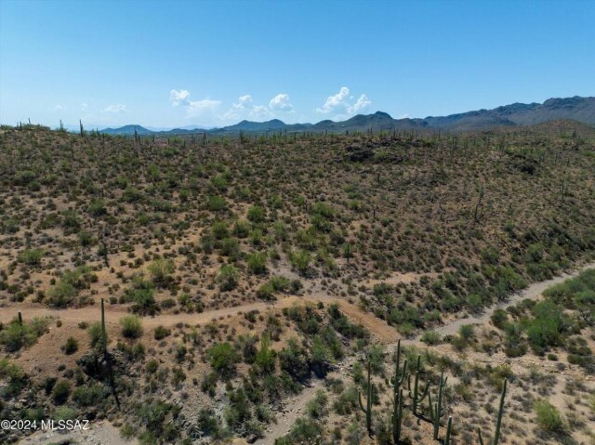 Picture of Residential Land For Sale in Tucson, Arizona, United States