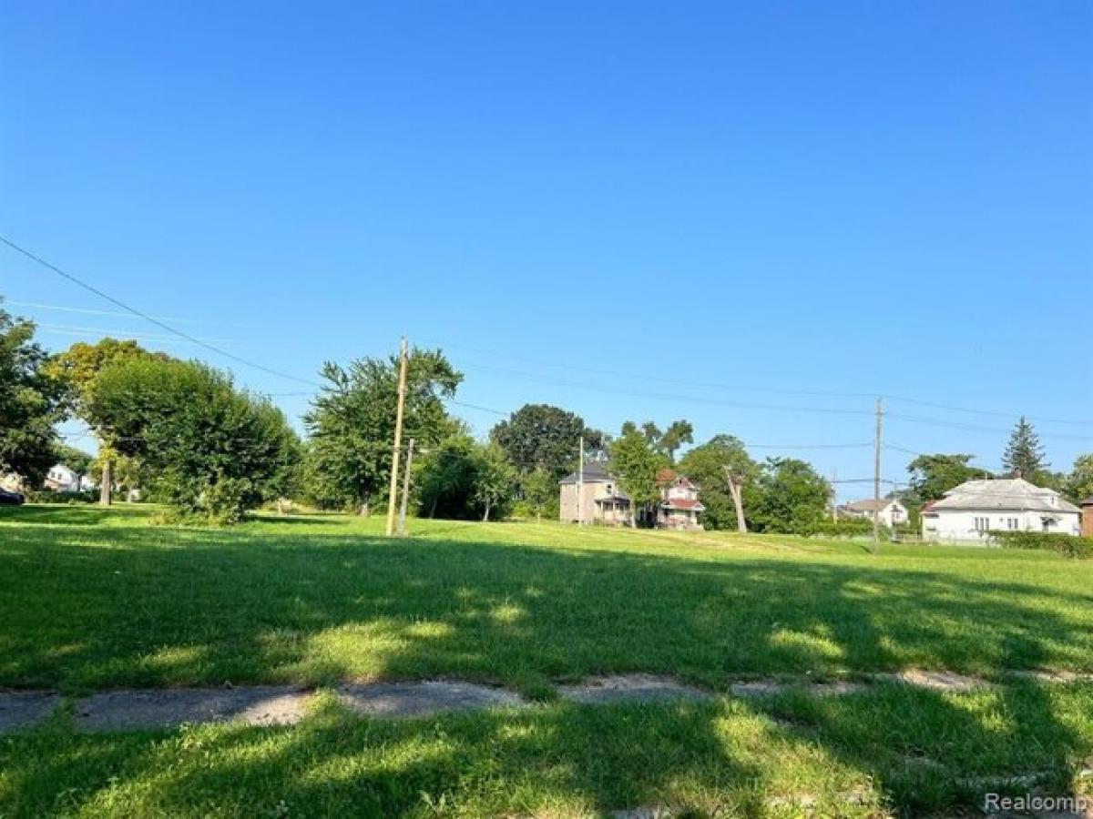 Picture of Residential Land For Rent in Detroit, Michigan, United States