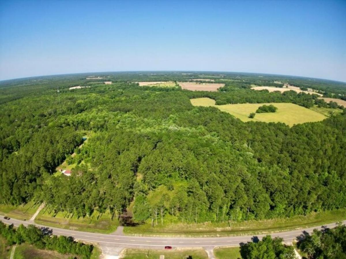 Picture of Residential Land For Sale in Slocomb, Alabama, United States