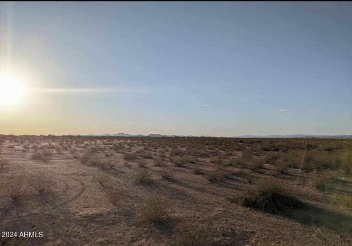 Picture of Residential Land For Sale in Wittmann, Arizona, United States