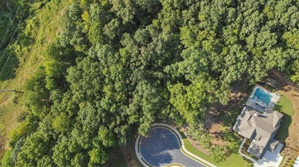 Picture of Residential Land For Sale in Flowery Branch, Georgia, United States